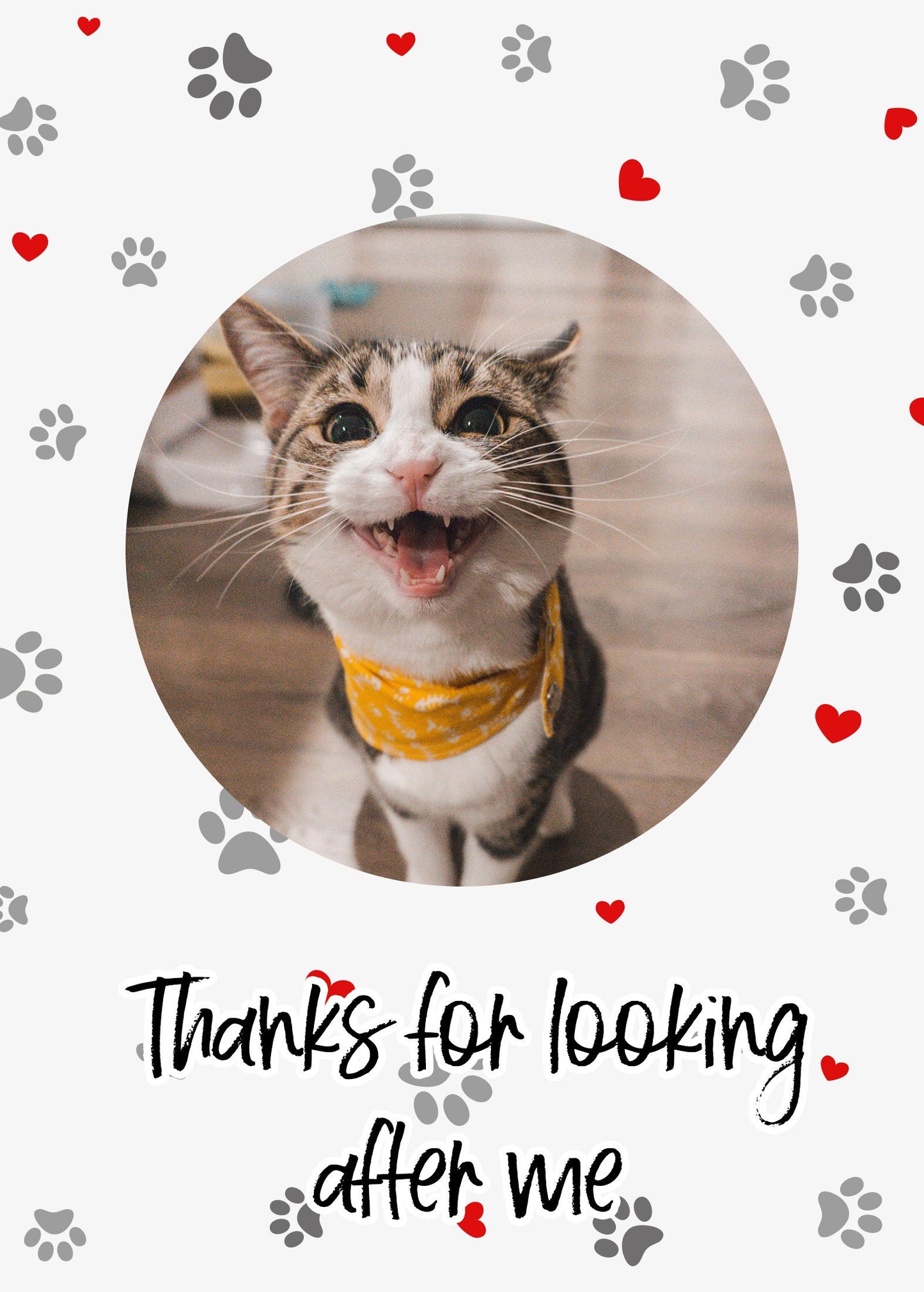 cat sitting thank you gift wine label | cat sitter peronalised photo gift | cat sitting thank you gift | pet sitting gift | cat wine label