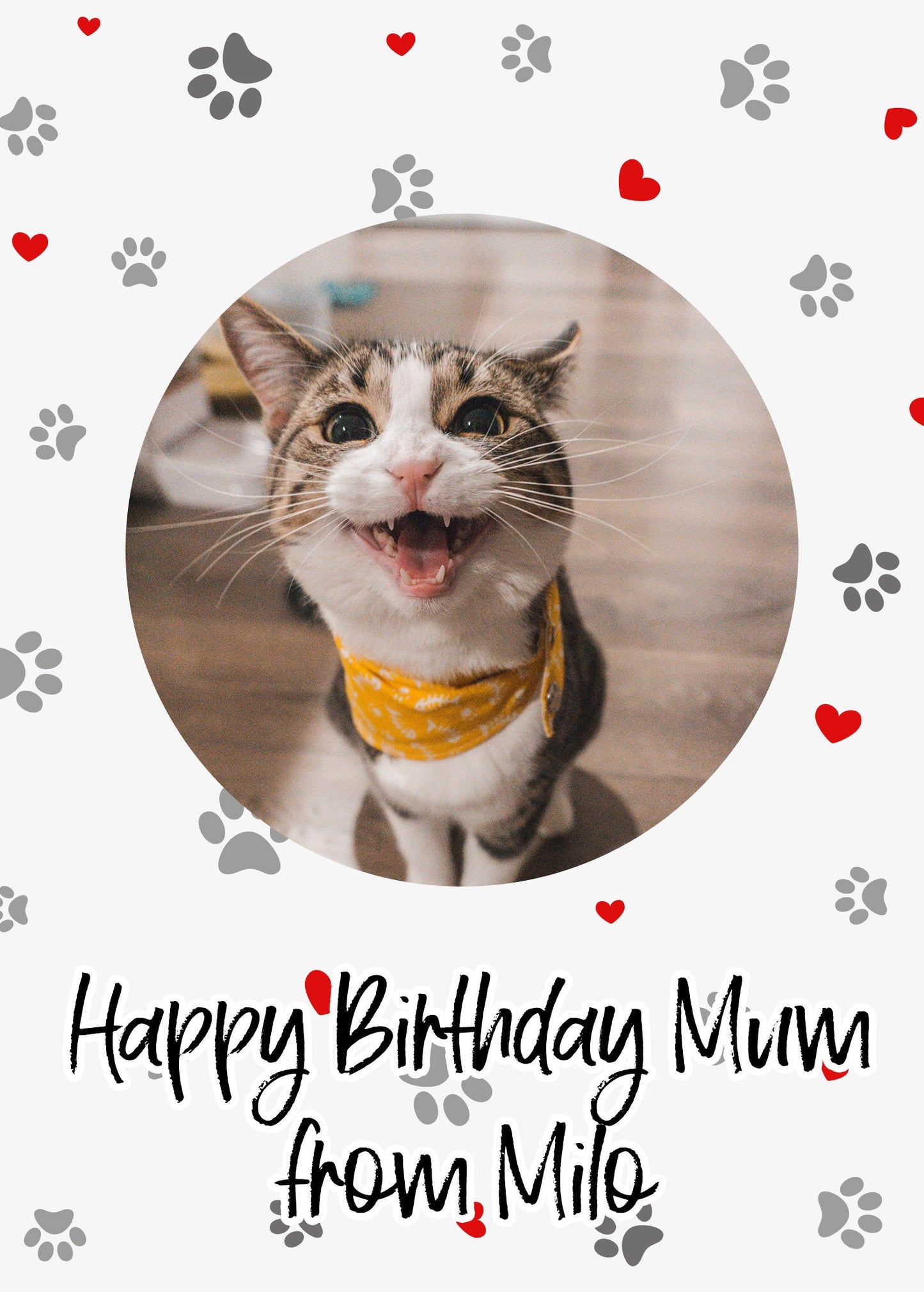 Birthday gift from Cat wine label | funny cat dad peronalised photo gift | cat sitting gift | funny cat mum gift